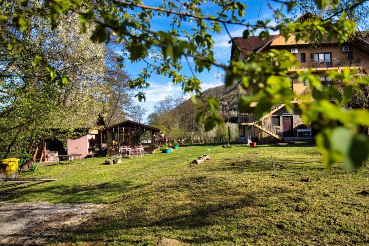 Motel Seaca Călimăneşti Buitenkant foto